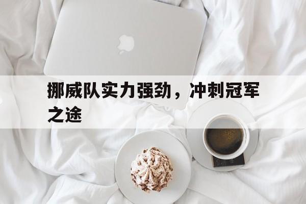 九州棋牌-挪威队实力强劲,冲刺冠军之途是谁