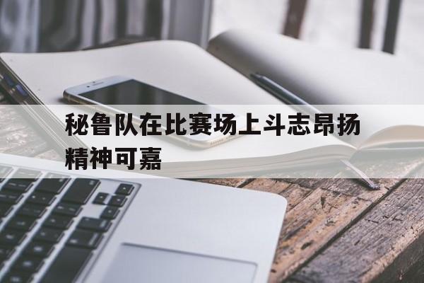 秘鲁队在比赛场上斗志昂扬精神可嘉 秘鲁队在比赛场上斗志昂扬精神可嘉